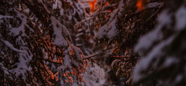 January 31 – Daily Message – John 18:22