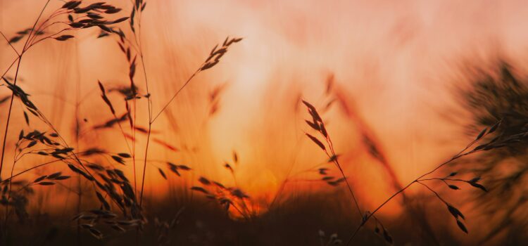 January 15 – Daily Message – Psalm 92:9