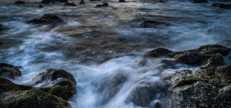 January 12 – Daily Messages – Genesis 19:18