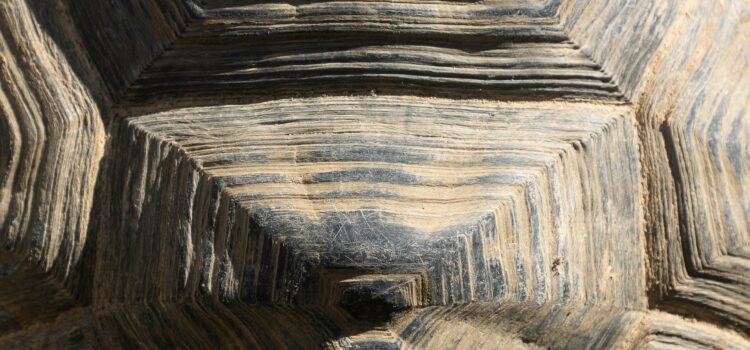 January 21 – Daily Message – John 9:18