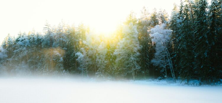 January 16 – Daily Message – James 2:4