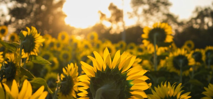 January 24 – Daily Message – 2 Maccabees 6:13