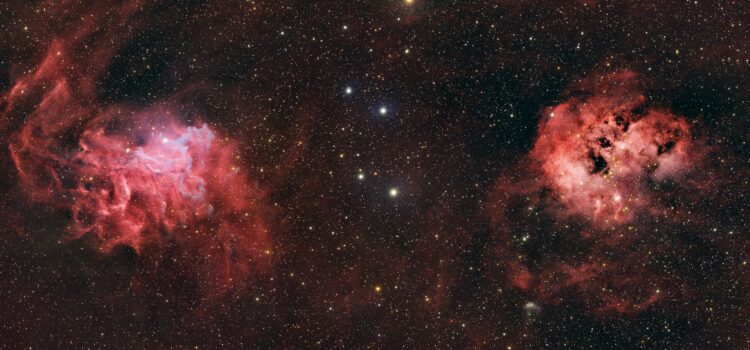 January 13 – Daily Message – Luke 14:21