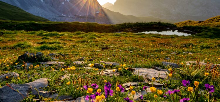 February 10 – Daily Message – Proverbs 9:10