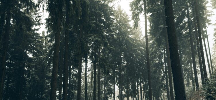 February 26 – Daily Message – Ephesians 2:7 February 26 – Daily Message – Ephesians 2:7