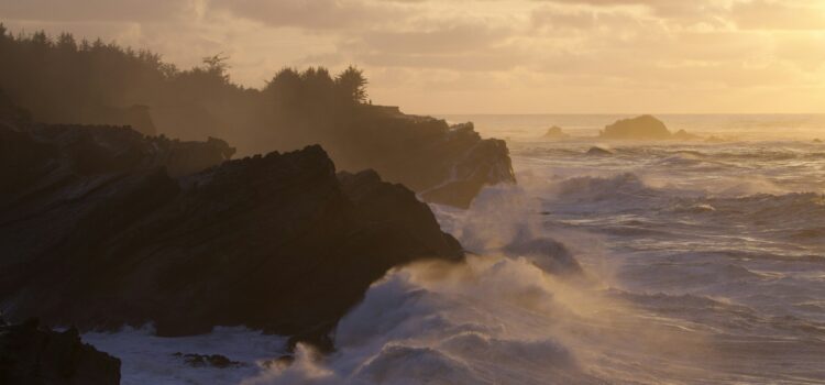 April 2 – Daily Message – Psalm 103:22