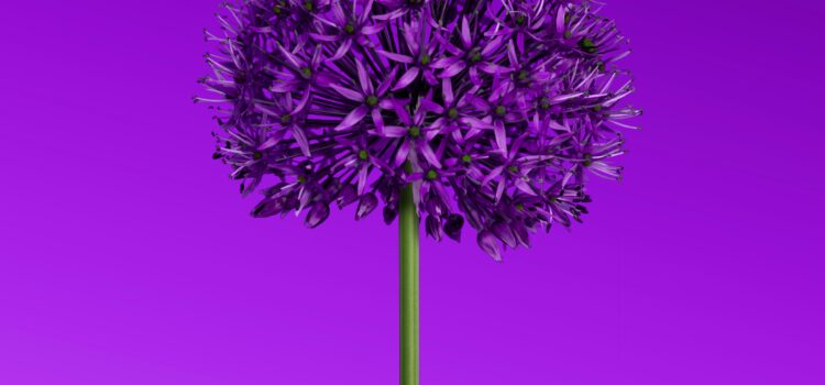 April 3 – Daily Message – Mark 13:2