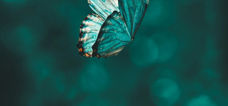 March 11 – Daily Message – 1 Kings 7:6 March 11 – Daily Message – 1 Kings 7:6