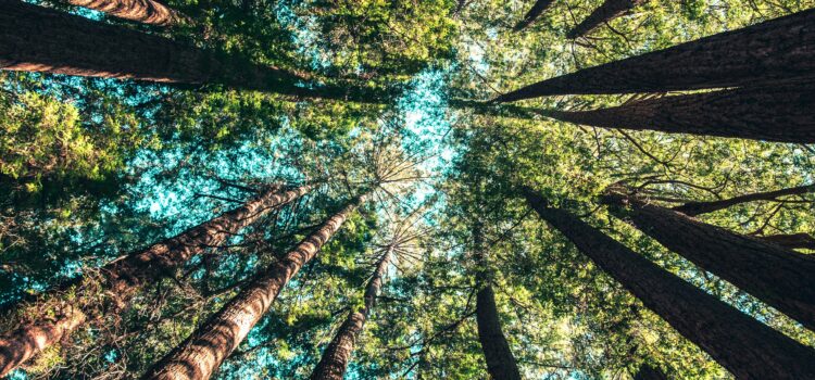 March 20 – Daily Messages – Matthew 4:23 Part 5