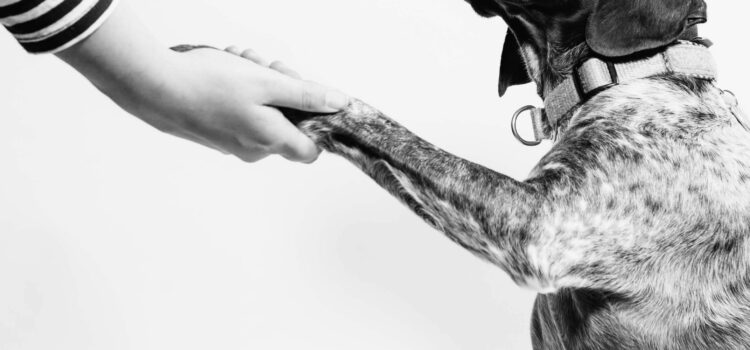 March 4 – Daily Messages – Psalm 25:1