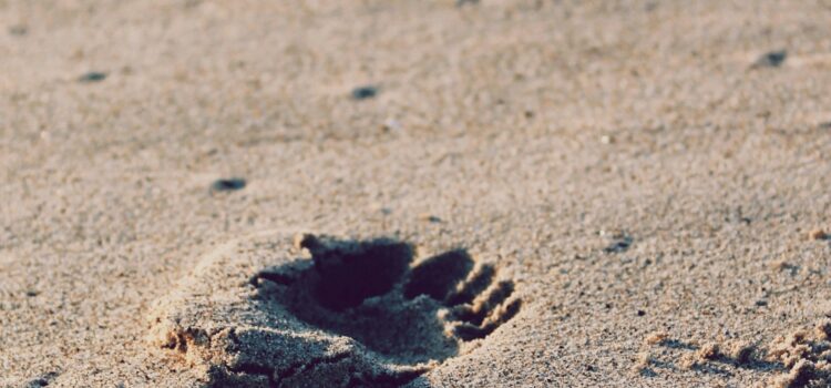 April 10 – Daily Message – Luke 8:25