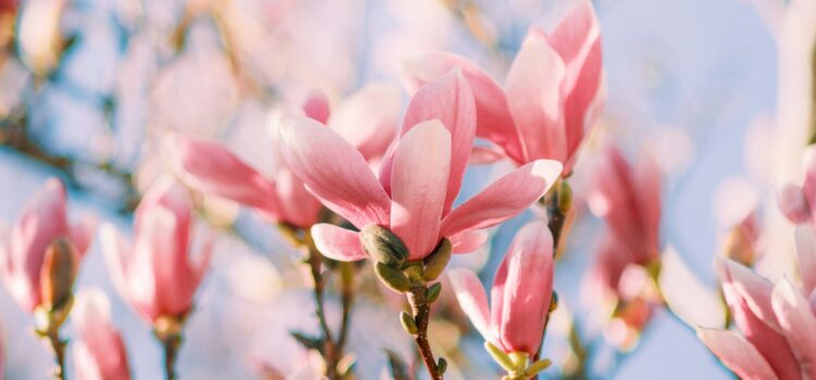 April 27 – Daily Message – John 18:9