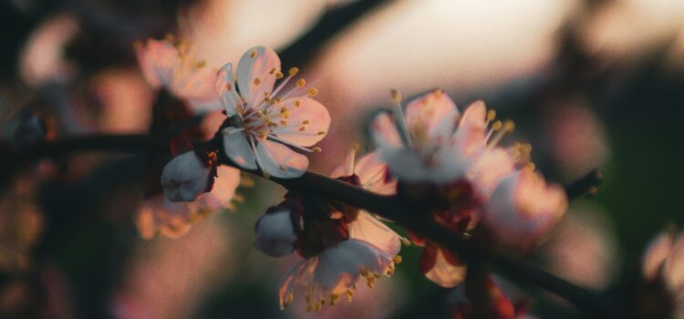 May 2 – Daily Messages – Exodus 19:5