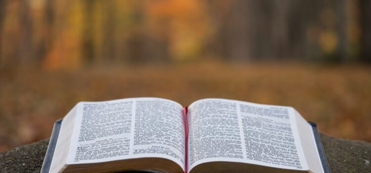 August 1 – Daily Message – 2 Timothy 3:15
